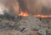 Тюменское высшее военно-инженерное командное училище выделило личный состав и тяжелую специальную технику для борьбы с распространением лесных пожаров в Тюменской области