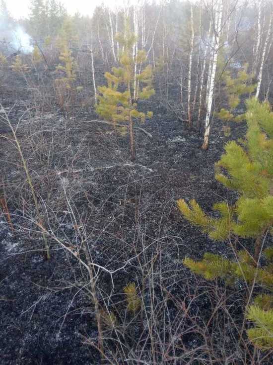 В Бурятии за сутки тушили три лесных пожара и дотушивали один