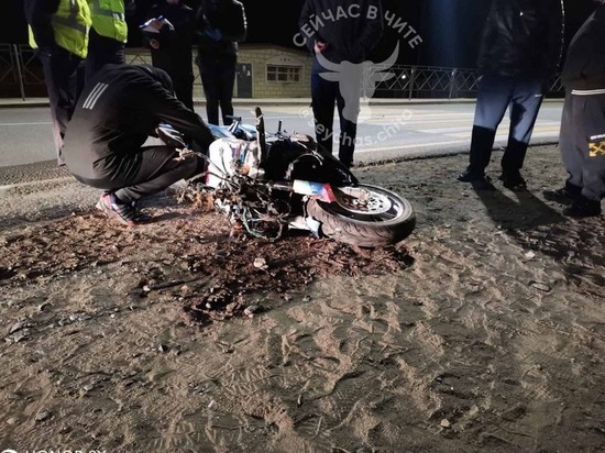 Мотоциклист без прав погиб после столкновения с коровой в Забайкалье