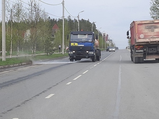 Улицы Петрозаводска продолжают очищать от весеннего смёта