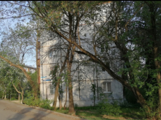 Опасные деревья в Ижевске: жители обеспокоены и просят власти решить вопрос