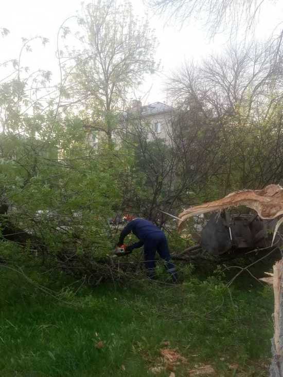 В Нижнем Новгороде ликвидируют последствия сильного ветра