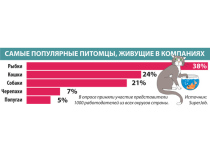 Домашних животных по месту службы содержат сотрудники лишь 9% российских компаний