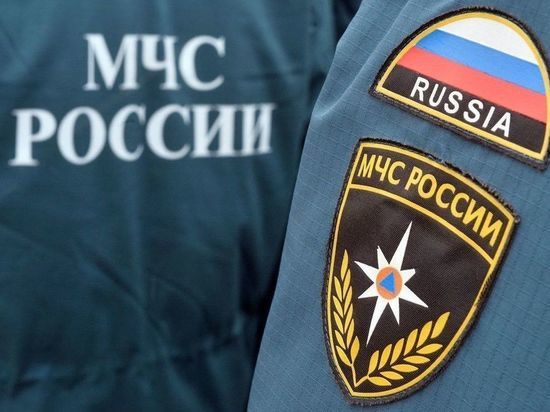 Ярославские спасатели сообщили о ликвидации сотен свиней