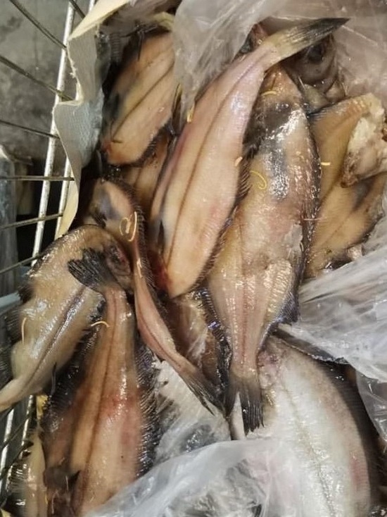 Кемеровчанка возмутилась продажей тухлой и червивой рыбы в одном из магазинов города