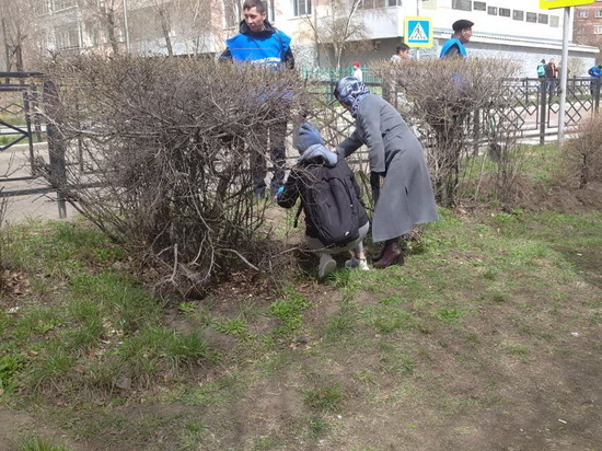 В Улан-Удэ общественники помогли высадить 300 яблонь и акаций
