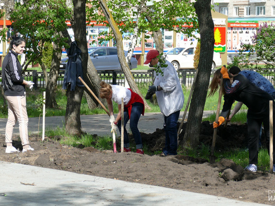 В скверах и парках Котовска продолжают высаживать деревья