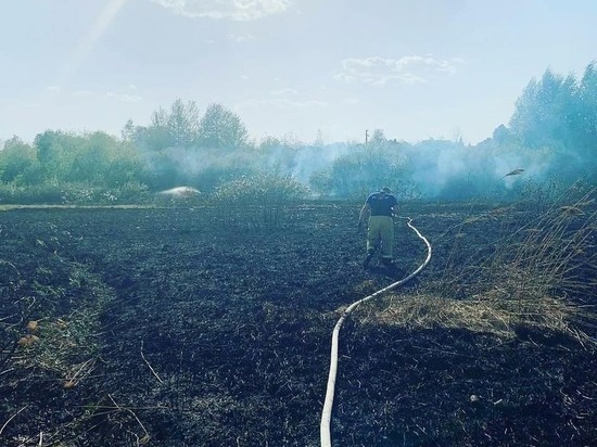 В Ижевске загорелся сухой камыш в мкр "Липовая роща"