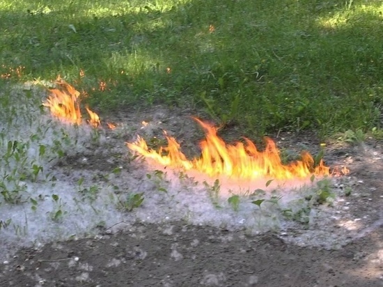 Пожар в парке Кирова в Ижевске: кто виноват?