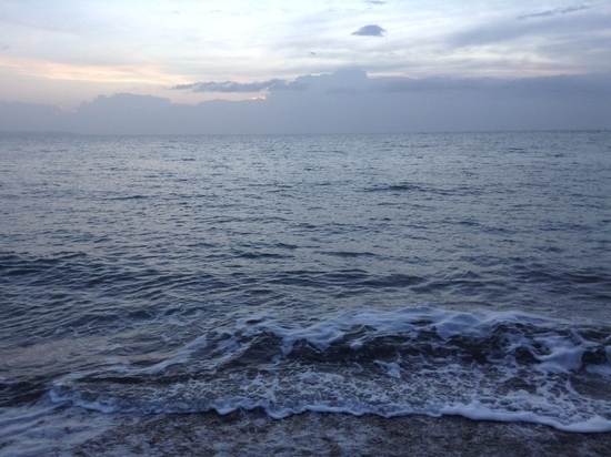 Какими темпами на Смоленщине формируется коллективный иммунитет от COVID-19