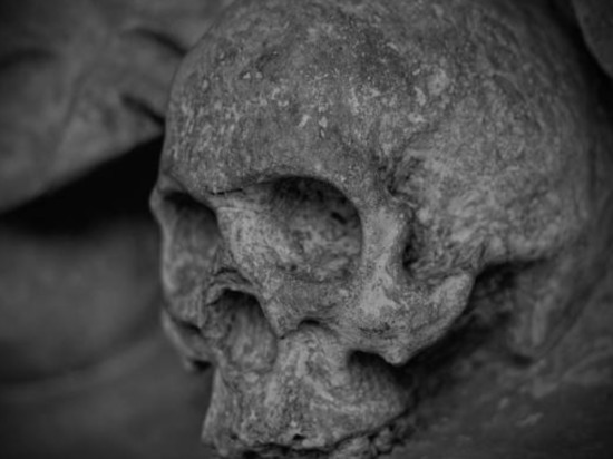 В садоводстве Бурятии нашли человеческий череп