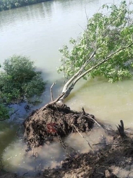 Глава Краснодара отреагировал на сообщения о состоянии берега в Юбилейном микрорайоне
