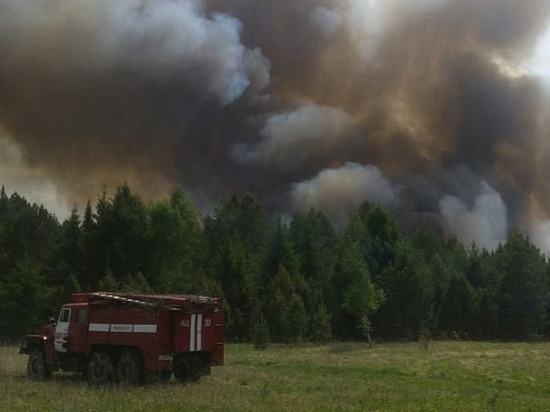10 гектаров леса горят в Воткинском районе