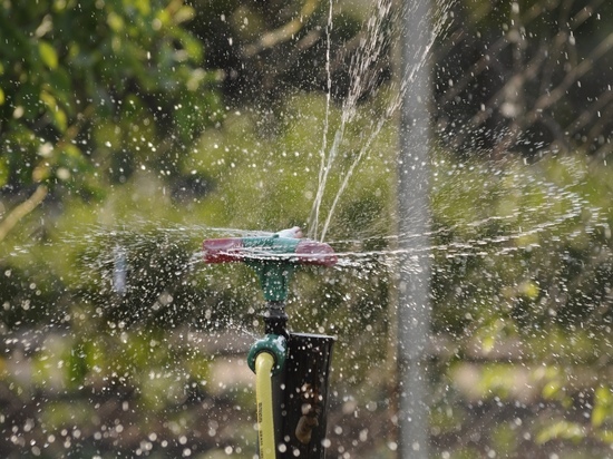 В Туле днем 17 мая из-за жары организовали бесплатную раздачу воды
