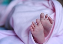 В подмосковном Дмитрове женщина выбросила своего новорожденного младенца в мусоропровод