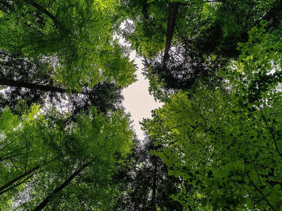 Жара и грозы ожидают Смоленщину 18 мая