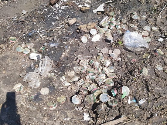 В пригороде Ярославля на свалку выбросили партию красной икры