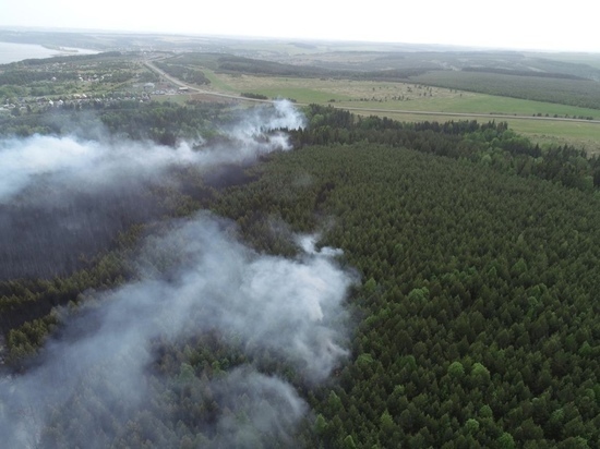 Национальнй парк Удмуртии "Нечкинский" пострадал от пожара 17 мая