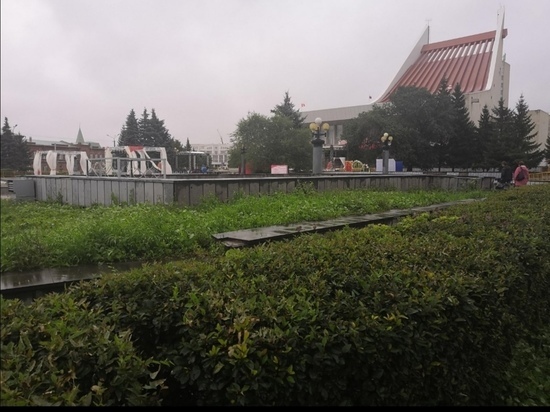  В Омске на Театральной площади собираются вырубить 68 деревьев