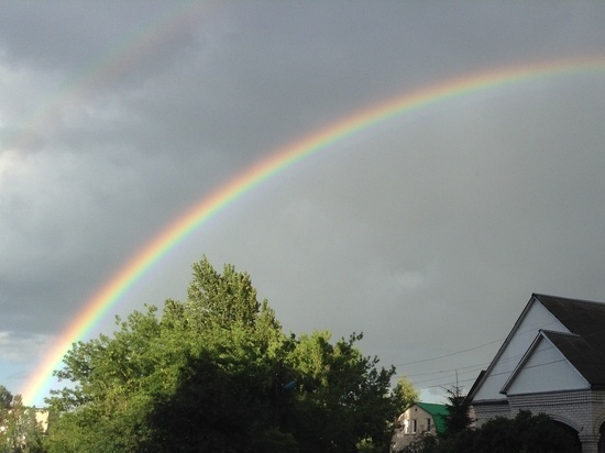 Смоляне могут кремировать домашних питомцев и получить их прах в урне