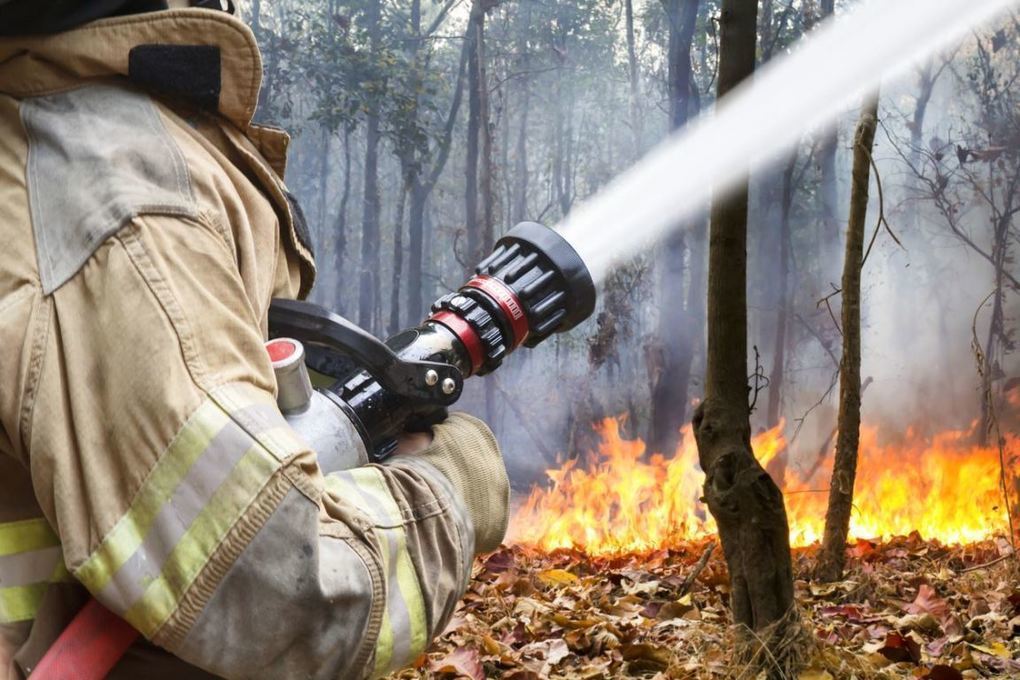 В Костромской области ожидается высокая пожароопасность