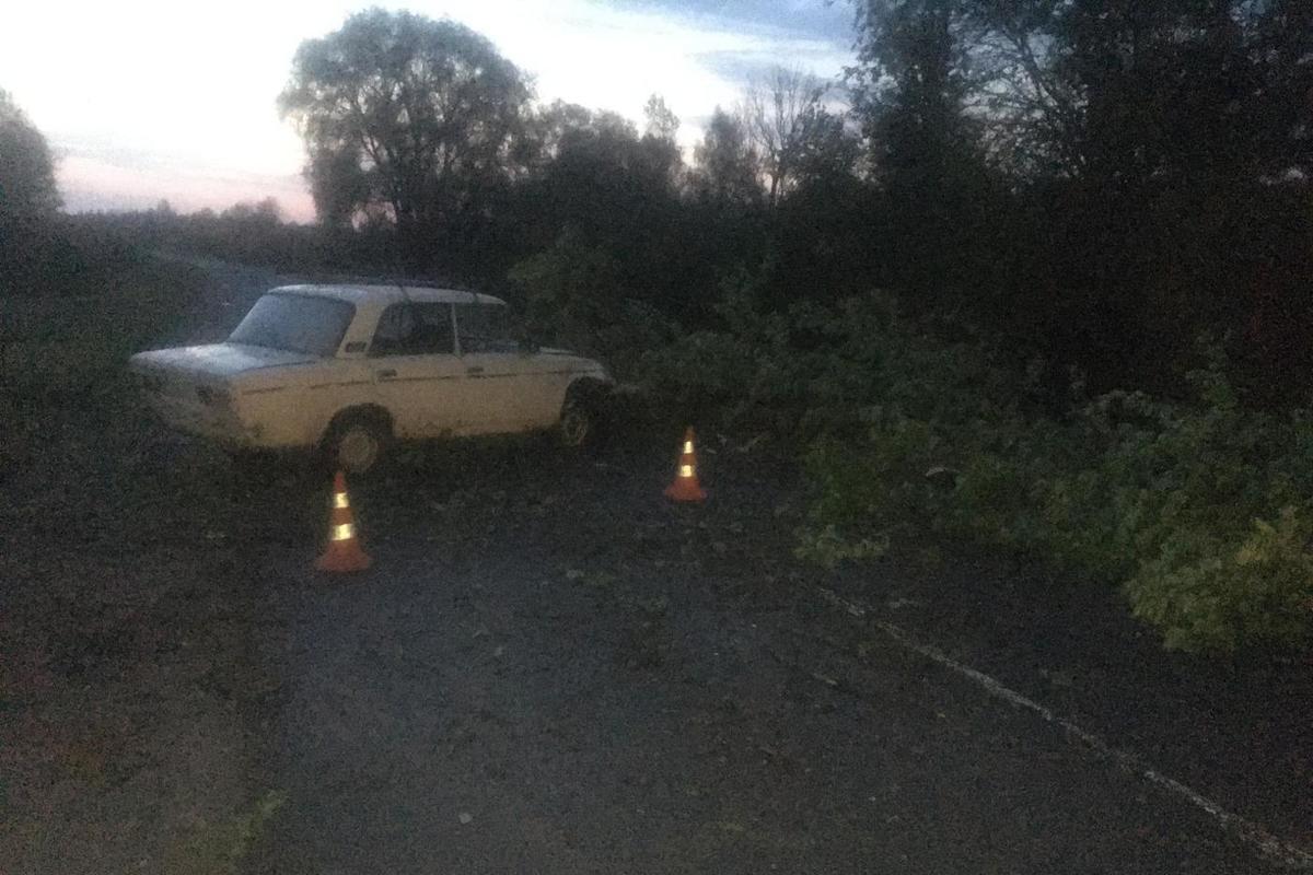 Пьяный водитель под Псковом въехал в лежащее посреди дороги дерево - МК  Псков