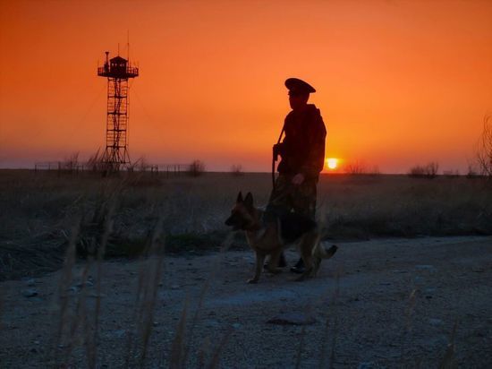 Алтайские пограничники задержали нелегала