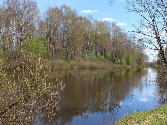 В Смоленске из Днепра извлекли тело утонувшего мужчины