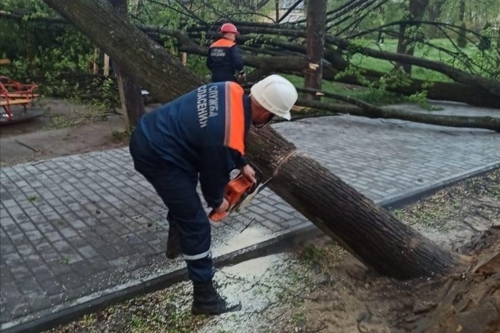 Главы районов Костромской области, пострадавших от стихии, направили все необходимые силы на восстановительные работы