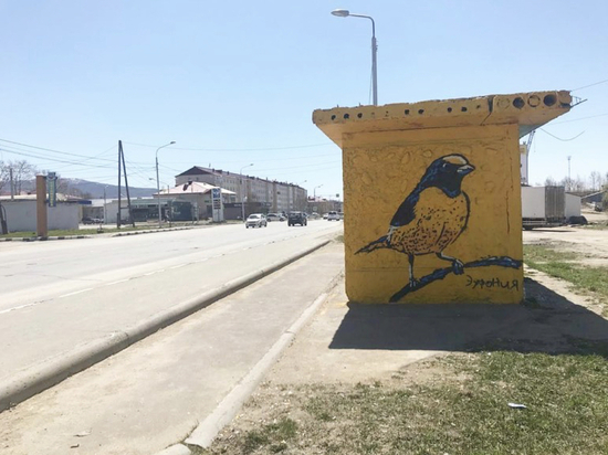 Сахалинец рисует птичек на скучных остановках общественного транспорта