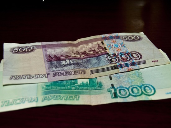 Реальные зарплаты в Алтайском крае выросли на 3,8% в ковидный год