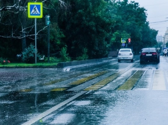 В Волгоградской области ожидаются дожди с грозами при +22 градусах