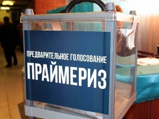 Группа депутатов Госдумы выступила против праймериз