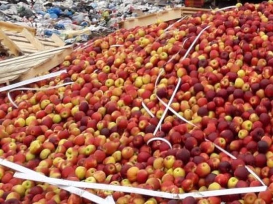 Около 13 тонн фруктов уничтожили трактором под Себежем