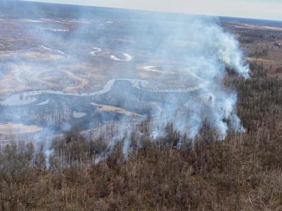 На 21 мая в Якутии действуют десять лесных пожаров