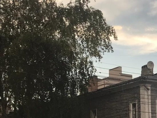 В Тамбове определили, какие здания на Советской приведут в порядок в первую очередь