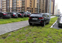 В Центральном районе Красноярска местные власти намерены в разы усилить работу с водителями, беспечно бросающими свои автомобили на газонах