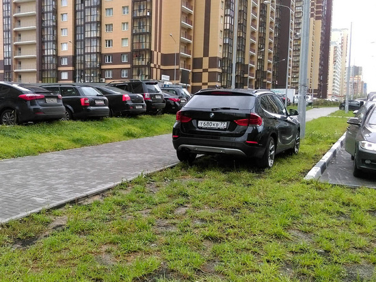 В центре Красноярска начнут отслеживать паркующихся на газонах водителей