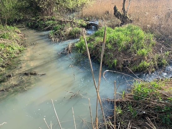 Жители Донского пожаловались на загрязнение реки Ольховец