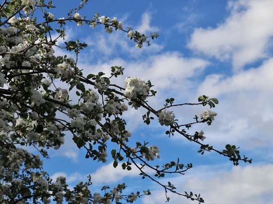 В субботу, 22 мая, на Смоленщине ожидается хорошая погода