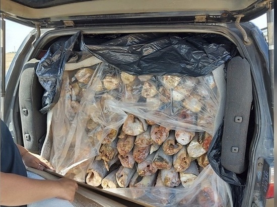 В Калмыкии покупатель краснокнижной рыбы осужден на два года