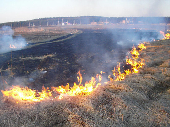 В Вихоревке из-за резки металла сгорело 20 гектаров поля