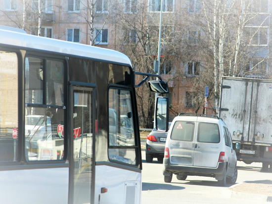 За завышение цен в маршрутке Петрозаводска ответит водитель