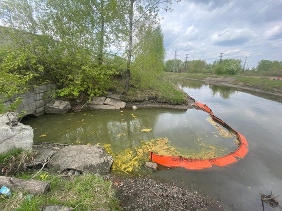 Прокуратура ищет источник масляных пятен на Теплой речке в Красноярске