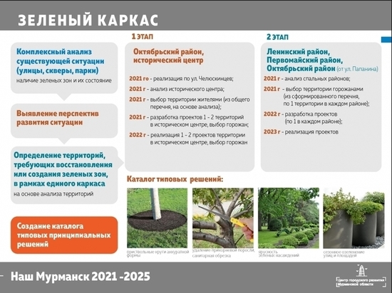 В Мурманске сформируют единую систему озеленения