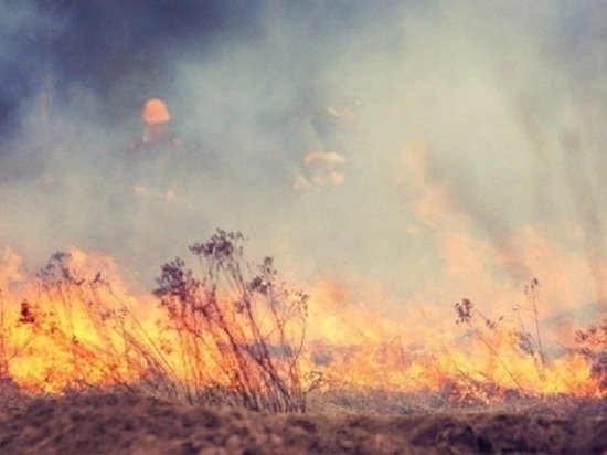 В трех районах Калмыкии ожидается чрезвычайная пожарная опасность