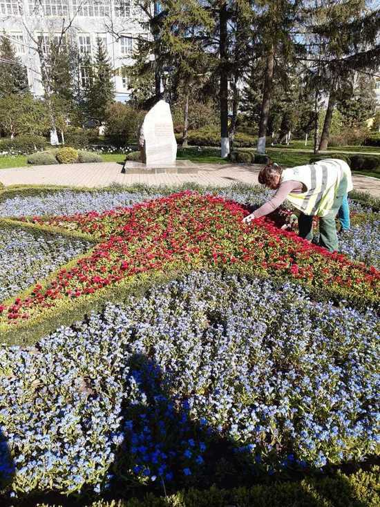 В Ставрополе в цветниках высадили почти 100 тысяч однолетников