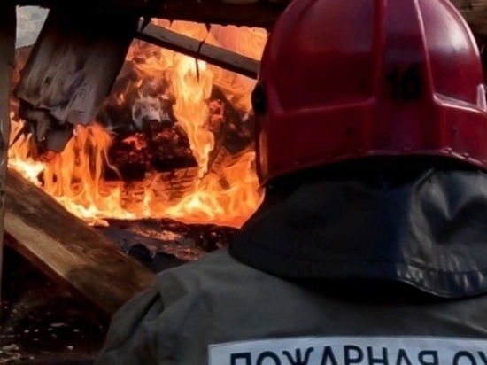В Ростовской области при пожаре погиб 61-летний мужчина