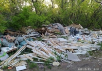В Омске жители возмутились, что рощу за Чкаловским поселком превратили в свалку
