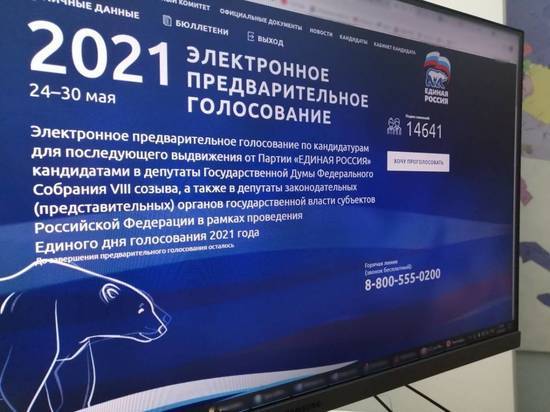 Электронное предварительное голосование партии «Единая Россия» стартовало В Томской области